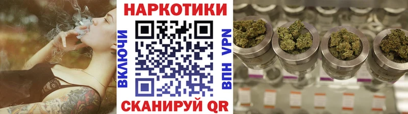 Магазины продажи наркотиков Пудож Кокаин  Галлюциногенные грибы  Метадон  Alpha PVP  Канабис  Мефедрон  ГАШИШ 