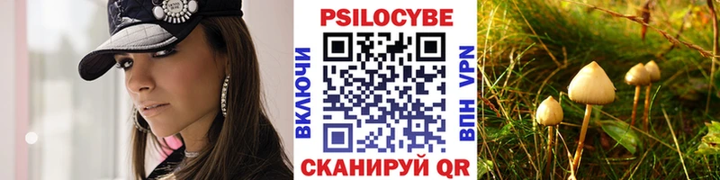 Псилоцибиновые грибы ЛСД  закладки  darknet Telegram  Пудож 